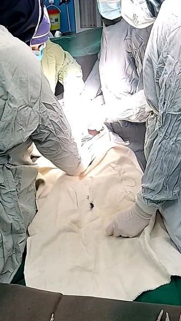 تولد خوشگلِ بهار، روزی پر شادی