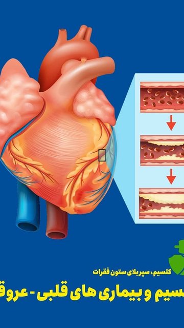 تاثیر مطالعات بر روی فرد قابل توجه است