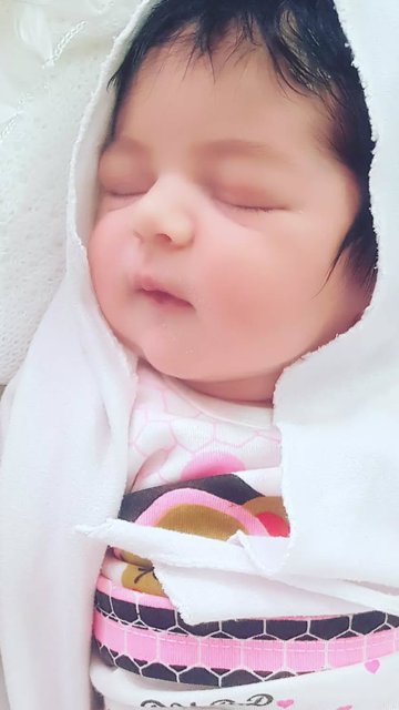 عکس زیبای جوجه فرشته به یادگاری