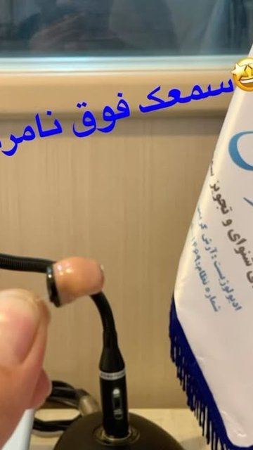 تنظیم سمعک، جلوگیری از اختلالات شنوایی