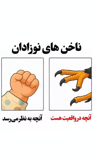 مراقبت از ناخن های نوزاد با آرامش