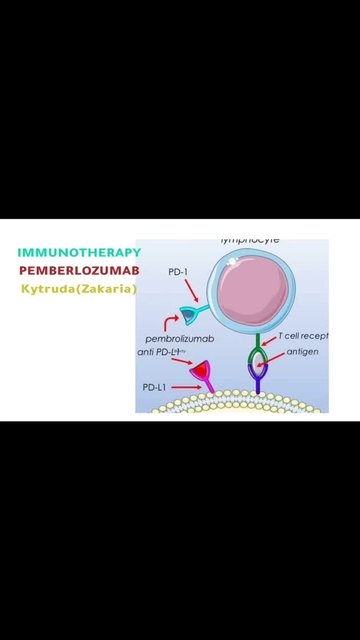 The Impact of Immunotherapy and PDL1 Inhibitor.