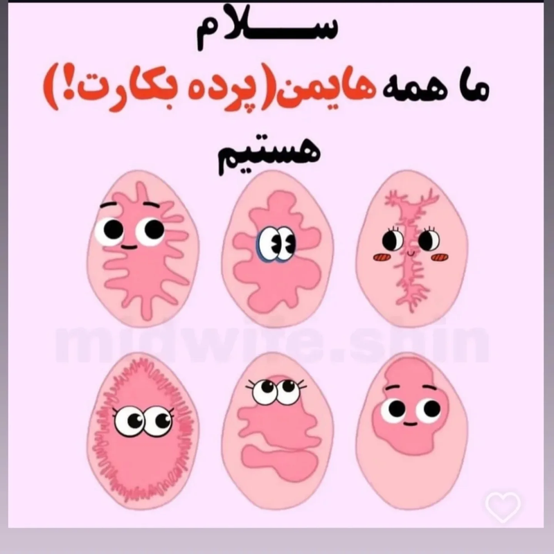 معاینه بکارت، راهکاری تخصصی برای سلامت زنان