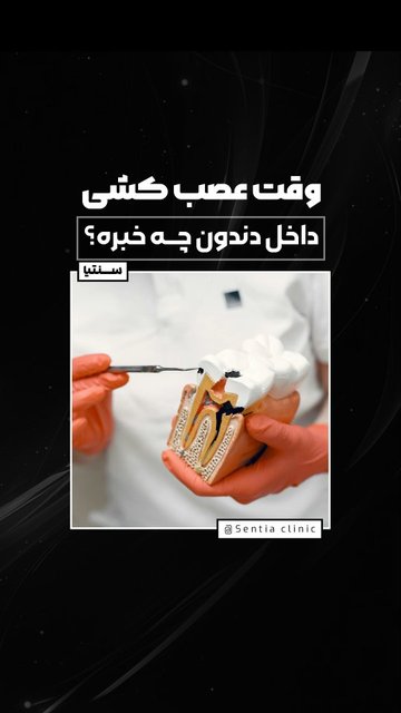 اهمیت بهداشت دهان برای سلامت کل بدن