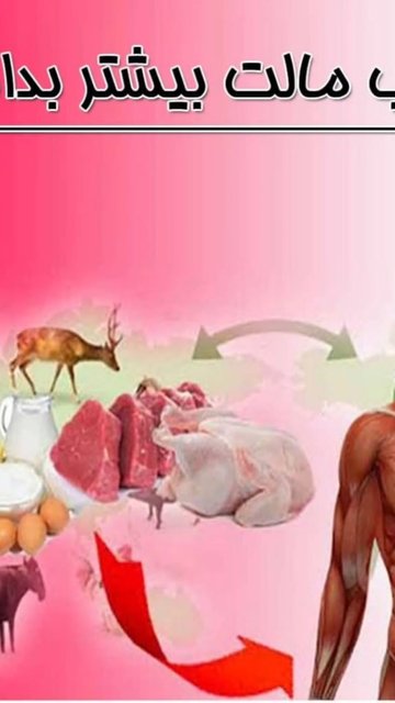 تب مالت، علائم، عوامل انتقال و پیشگیری