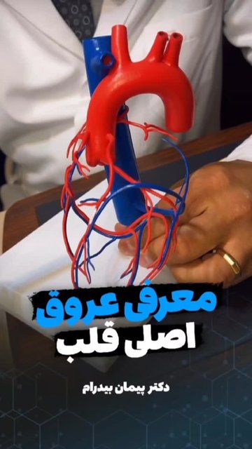 عروق اصلی قلب، اهمیت و سلامت قلب