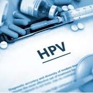 Hpv3